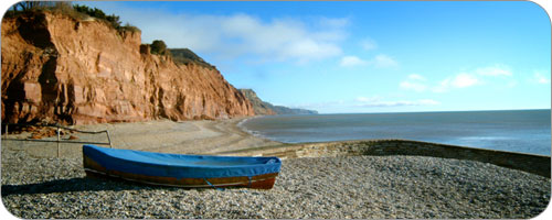 ���� ���� ����